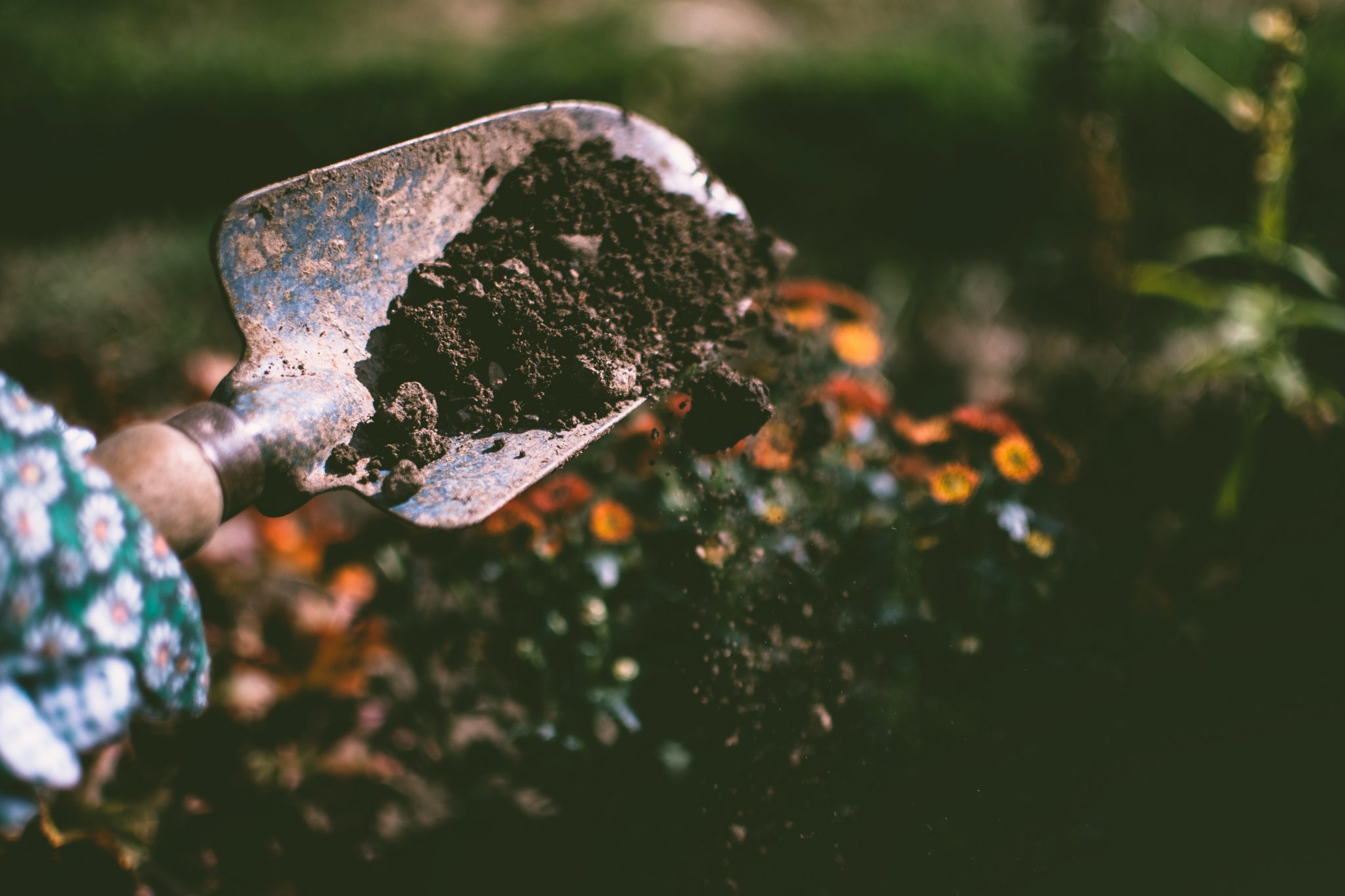 Digging up soil using garden shovel